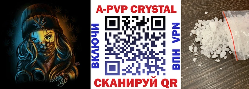 где найти   Нюрба  shop телеграм  A PVP крисы CK  KRAKEN рабочий сайт 