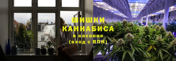 молекула духа Богородск