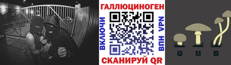 дарнет шоп  Нюрба  ОМГ ОМГ зеркало  Галлюциногенные грибы мухоморы 